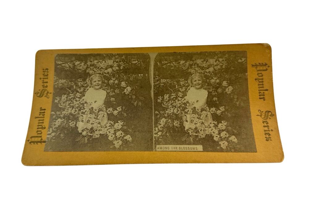 Antique Popular Series Stereoview Among the Blossoms Child Flowers Photo Card